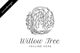 WILLOW TREE