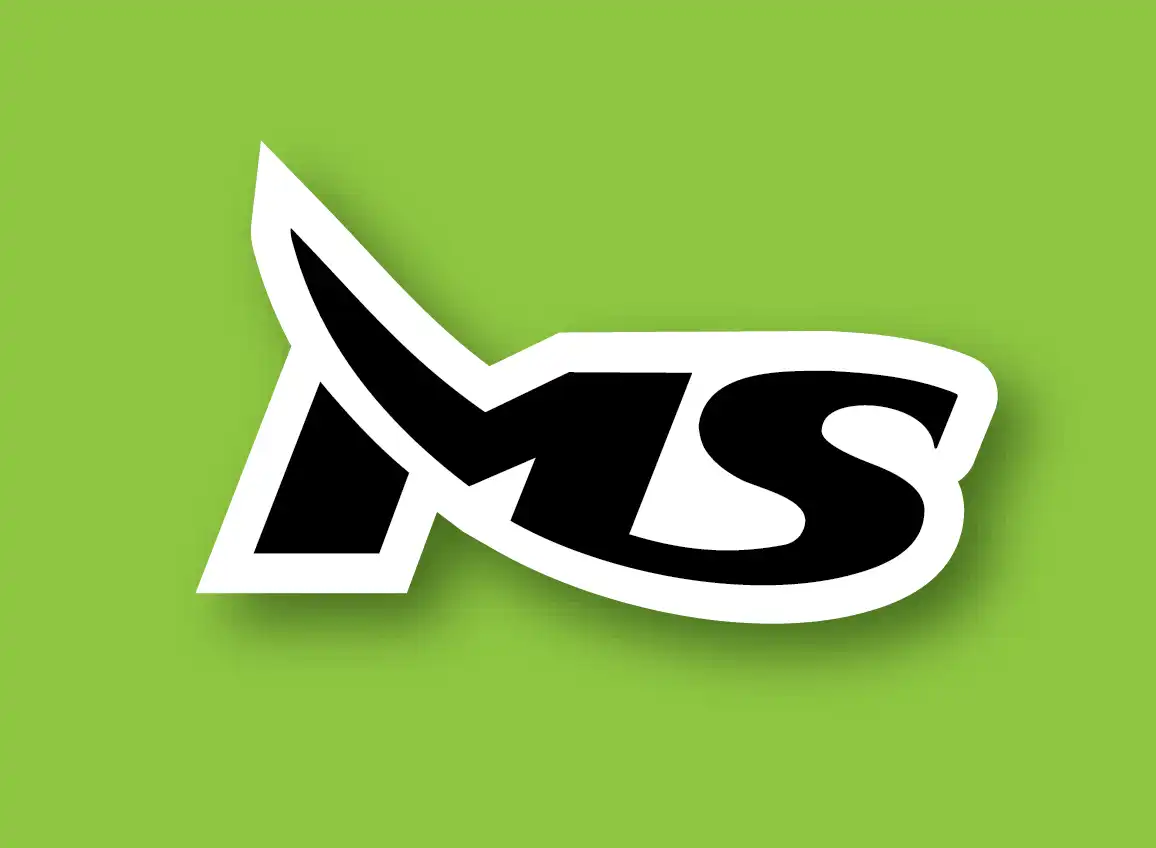 MS Industrial