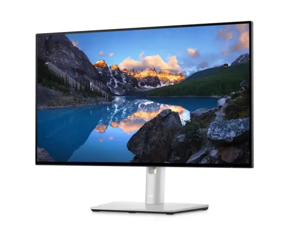 DELL 23.8 U2422H USB-C UltraSharp IPS monitor