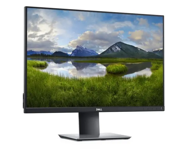 DELL OEM 24'' P2421 Professional IPS monitor