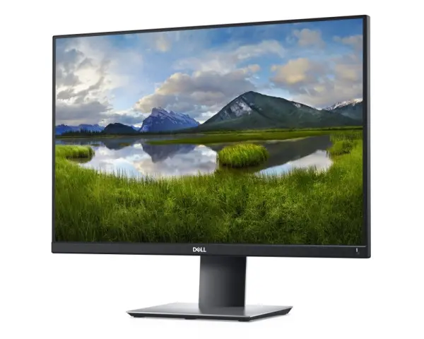 DELL OEM 24'' P2421 Professional IPS monitor