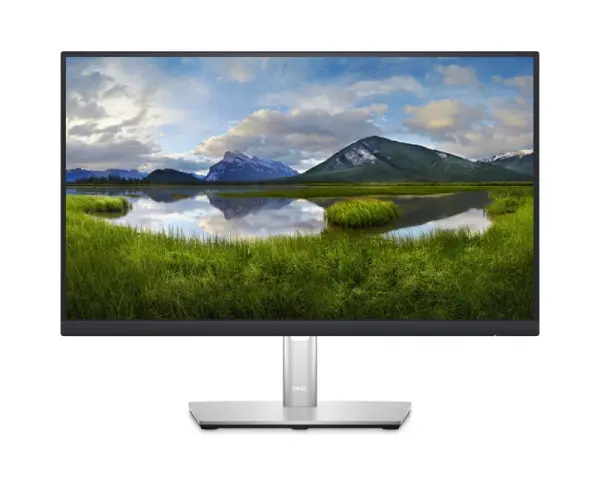DELL 21.5'' P2223HC USB-C Professional IPS monitor