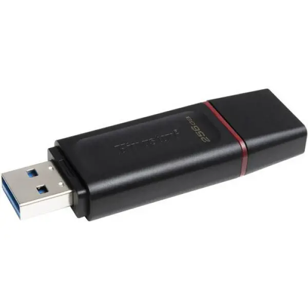 Kingston USB Flash 256GB DTX-256GB USB 3.2