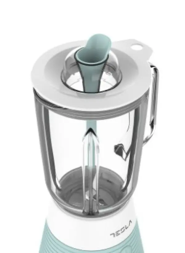 Blender TESLA BL510BWS500Wtirkizna' ( 'BL510BWS' ) 