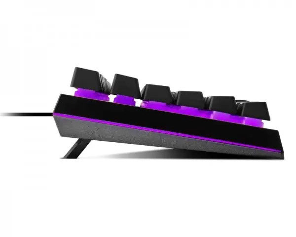 COOLER MASTER CM MasterKeys MK110 Gaming black switch tastatura (MK-110-KKMF1-US)