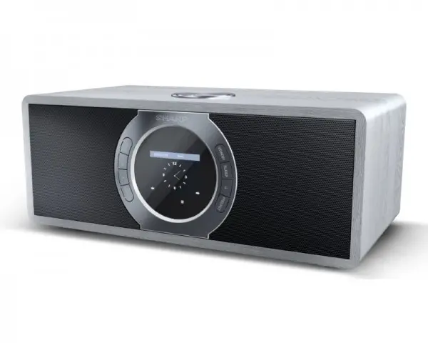 SHARP DR-I470GR PRO Digitalni bluetooth radio
