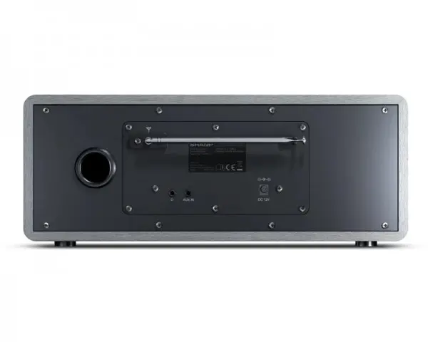 SHARP DR-I470GR PRO Digitalni bluetooth radio