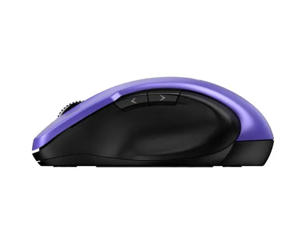 GENIUS Ergo 8200S USB Wireless ljubočasti miš