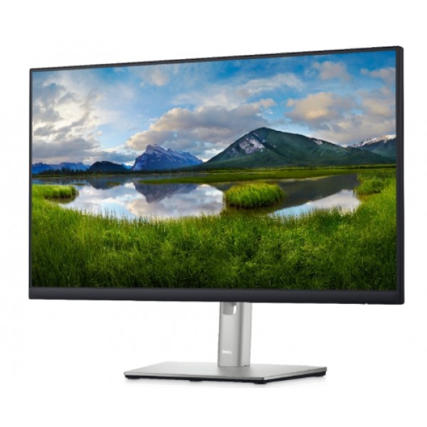 DELL 23.8'' P2422H Professional IPS monitor