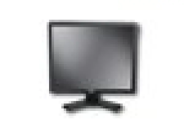 Dell LCD Monitor E190S (19'', 4:3, 1280x1024, 800:1, 160160, 5ms, VGA) Black ( E190S ) 