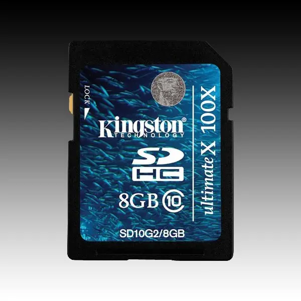 KINGSTON Memory ( flash cards ) 8GB SD Card High Capacity Class 10, Plastic ( SD10G28GB ) 