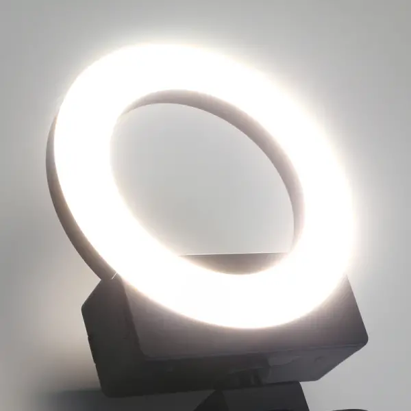 Led selfie crni