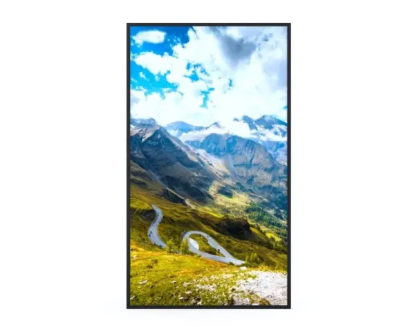 HISENSE 55 inča 55WF25E Window Facing - 2500 nita High Brightness Display