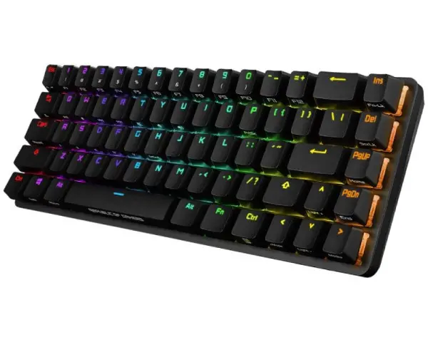 TAST ASUS ROG FALCHION NX (UK)