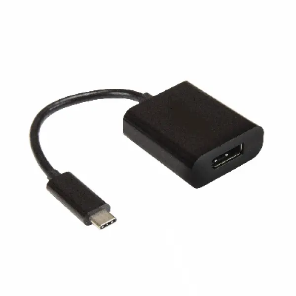 Port CONVERTER TYPE C TO DP (  )