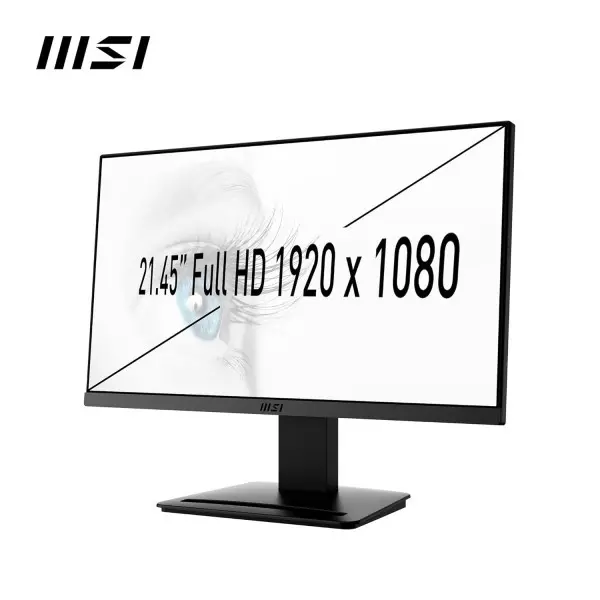 Monitor 22 MSI PRO MP223 Flat FHD VA 100Hz 1 ms HDMI/VGA