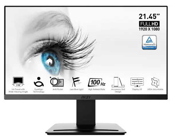 Monitor 22 MSI PRO MP223 Flat FHD VA 100Hz 1 ms HDMI/VGA