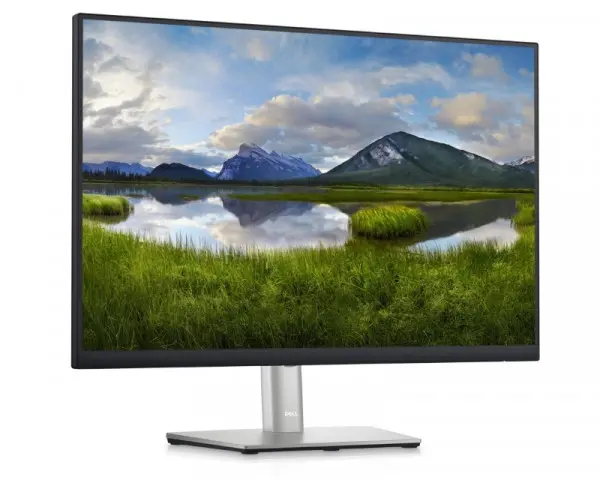 DELL 24'' P2423 Professional IPS monitor