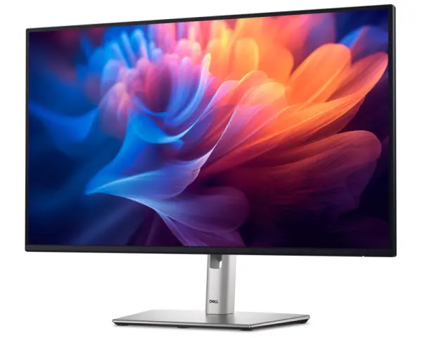DELL 27 inch P2725H 100Hz Professional IPS monitor 