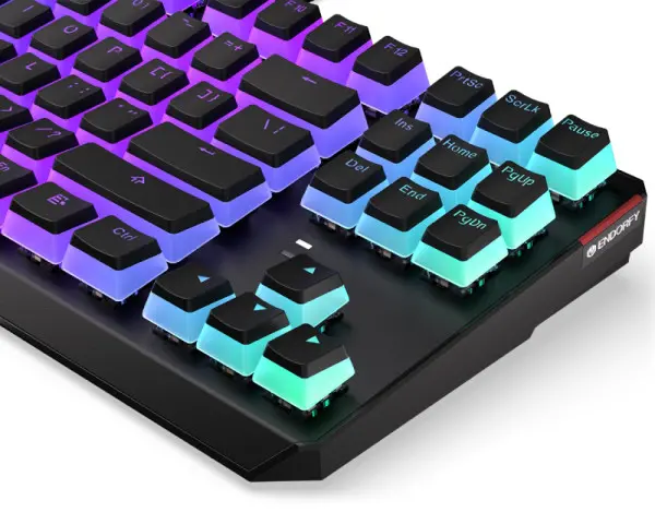 ENDORFY Thock TKL Pudding RGB tastatura (EY5A004) 