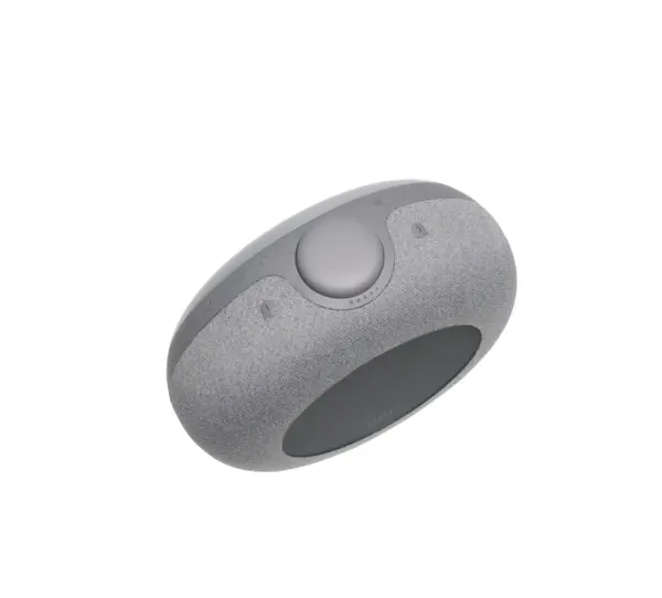 Zvučnik JBL Horizon 2, sa FM radio-satom, grey