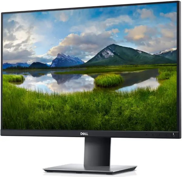 DELL 24'' P2421 Professional IPS monitor