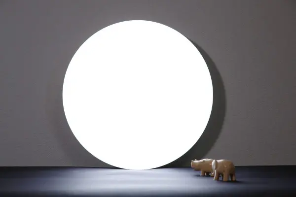 Xiaomi Mi LED Ceiling Light