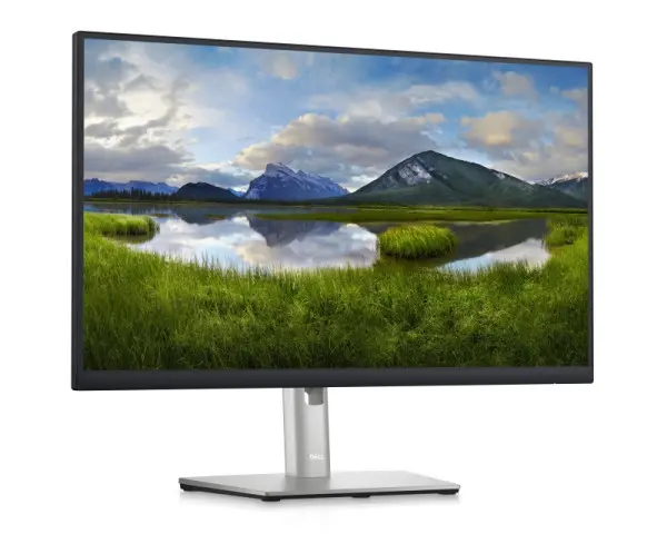 DELL OEM 23.8 inch P2422H Professional IPS monitor