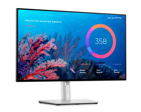DELL OEM 23.8'' U2422HE USB-C UltraSharp IPS monitor 