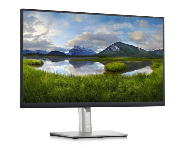 DELL OEM 23.8 inch P2422H Professional IPS monitor (2)