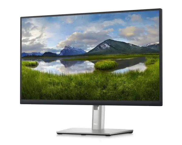 DELL OEM 23.8 inch P2422H Professional IPS monitor (3)