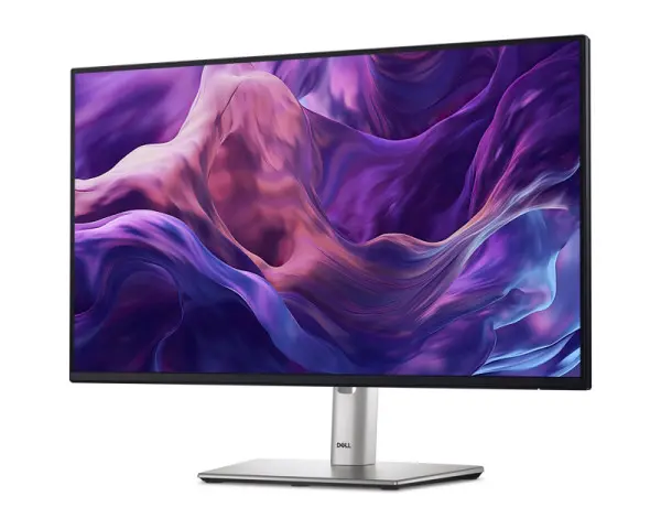 DELL OEM 23.8 inch P2425H 100Hz Professional IPS monitor bulk 