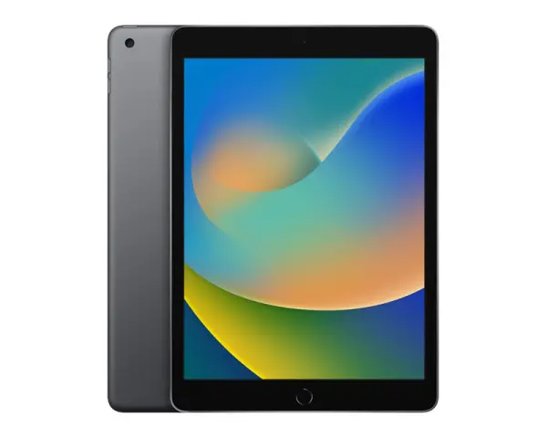 APPLE iPad 9th Gen 10.2 inch A13 WiFi 256GB Space Gray (fk2n3lla) 
