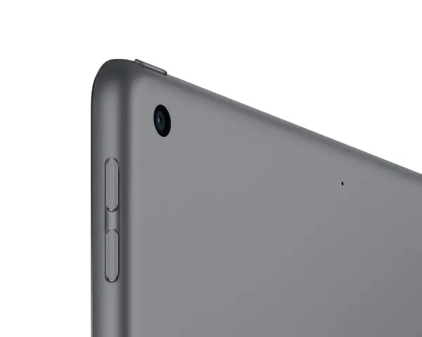 APPLE iPad 9th Gen 10.2 inch A13 WiFi 256GB Space Gray (fk2n3lla) 