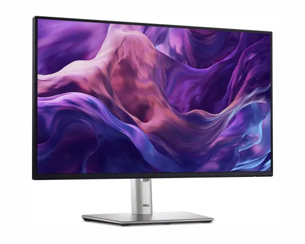 DELL OEM 23.8 inch P2425H 100Hz Professional IPS monitor 