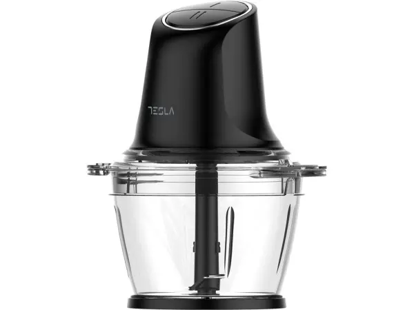 Seckalica TESLA FC300B 500Wcrna' ( 'FC300B' ) 