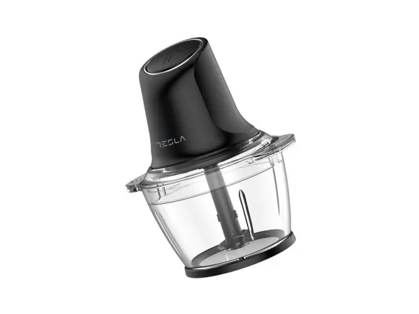 Seckalica TESLA FC300B 500Wcrna' ( 'FC300B' ) 
