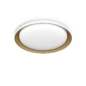 PEBBLO UE PLAFONSKA LAMPA SS BELA 10W 27K,929004116601,PHILIPS