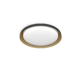 PEBBLO UE PLAFONSKA LAMPA SS CRNA 10W 27K, 929004116801,PHILIPS