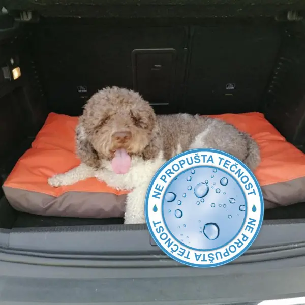 Ležaj za ljubimce Memoform My Dog memory foam