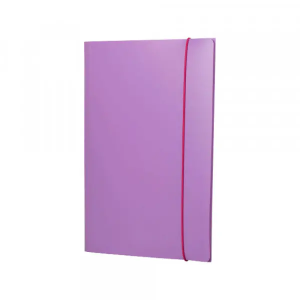 Fascikla pvc Fellowes sa gumicom 100041254 pastel 1/1