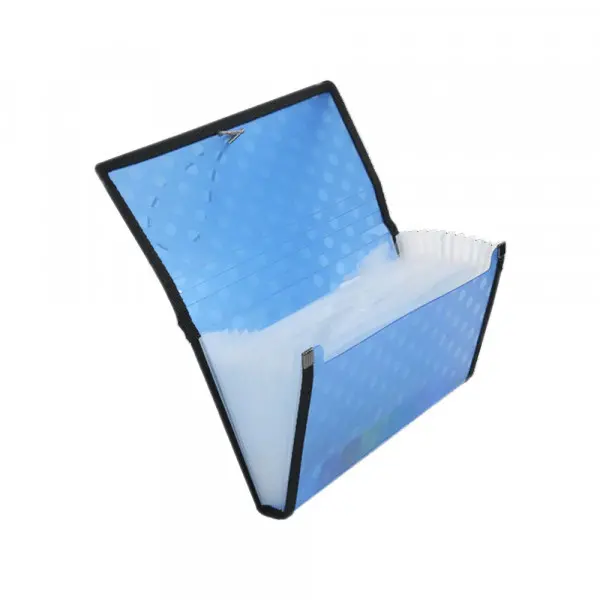 Fascikla B6 OP sa 12 pregrada 11x23 US-4303