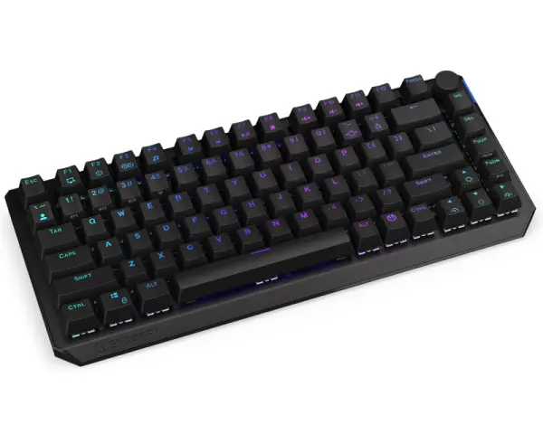 ENDORFY Thock Wireless 75% tastatura (EY5A074) 
