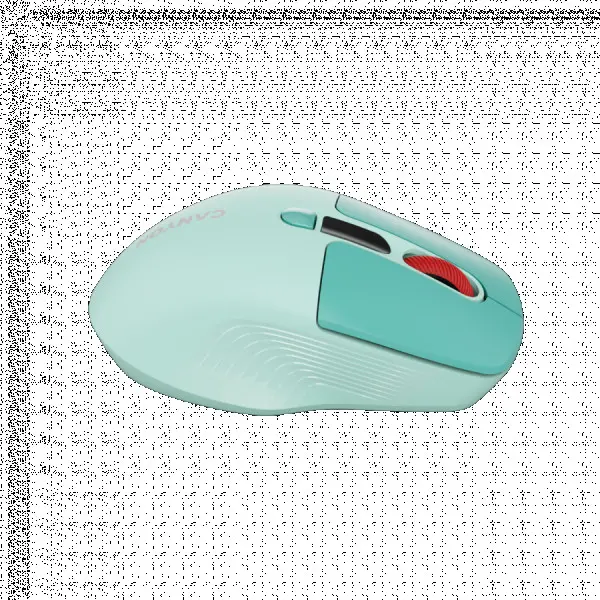 CANYON mouse MW-26 LCD Silent Dual Mode Wireless Green ( CNS-CMSW26GR ) 