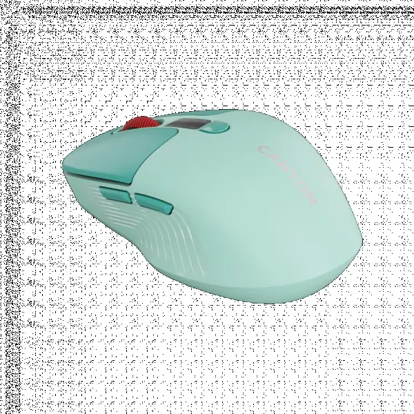 CANYON mouse MW-26 LCD Silent Dual Mode Wireless Green ( CNS-CMSW26GR ) 