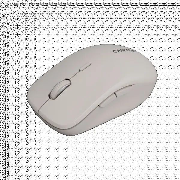 CANYON mouse MW-12 Dual band Wireless Beige ( CNS-CMSW12BG ) 