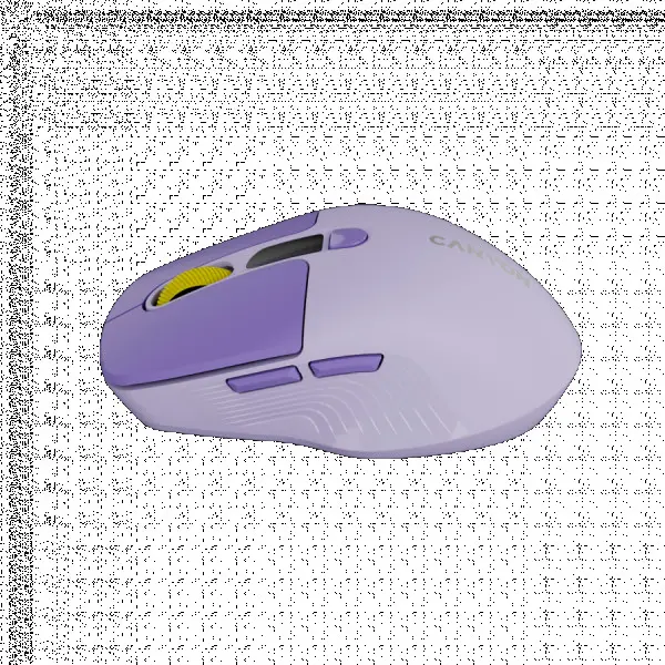 CANYON mouse MW-26 LCD Silent Dual Mode Wireless Violet ( CNS-CMSW26V ) 
