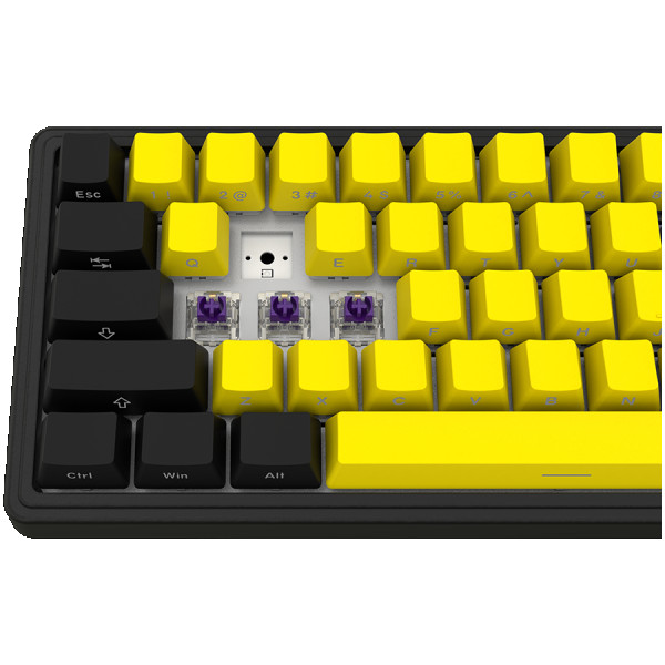 Wireless mechanical gaming keyboard Pro, 2.4 GHz, BT, RGB Backlight, 16 modes, 66 keys, 50M presses, linear Lorgar Toxic Purple switches, m
