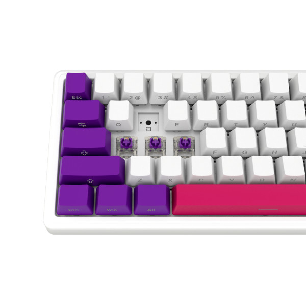 Wireless mechanical gaming keyboard Pro, 2.4 GHz, BT, RGB Backlight, 16 modes, 66 keys, 50M presses, linear Lorgar Toxic Purple switches, m (2)