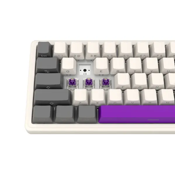 Wireless mechanical gaming keyboard Pro, 2.4 GHz, BT, RGB Backlight, 16 modes, 66 keys, 50M presses, linear Lorgar Toxic Purple switches, m (3)
